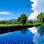 green trees beside body of water under blue sky during daytime