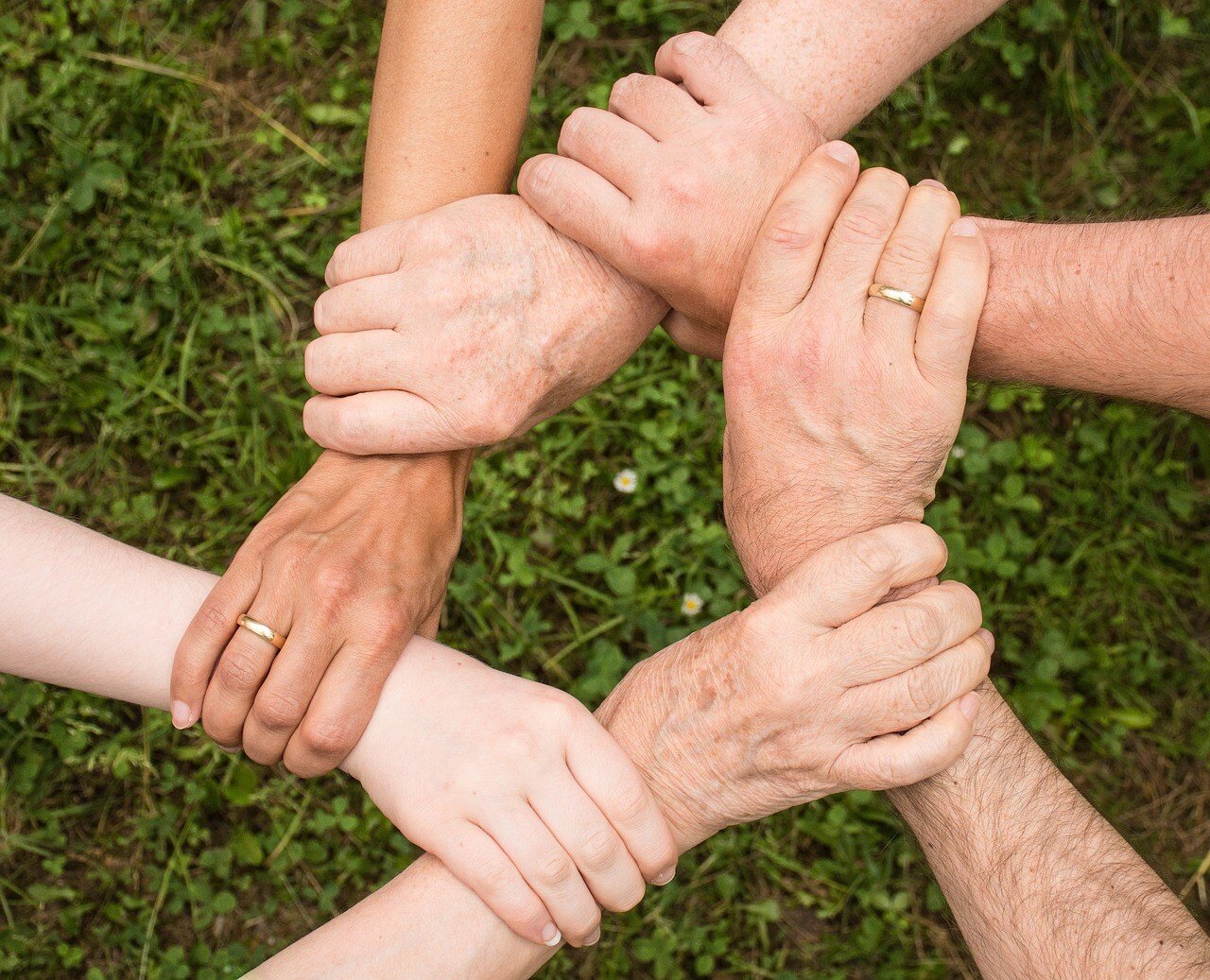 coaching transforma equipos